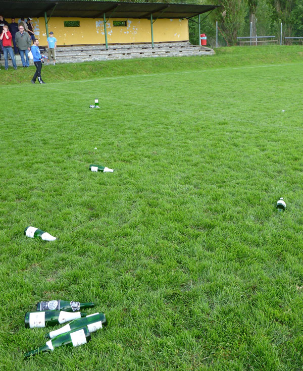 2013-06-02_skd_17.49.04_postup-1_web